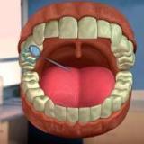 Dental Adventure